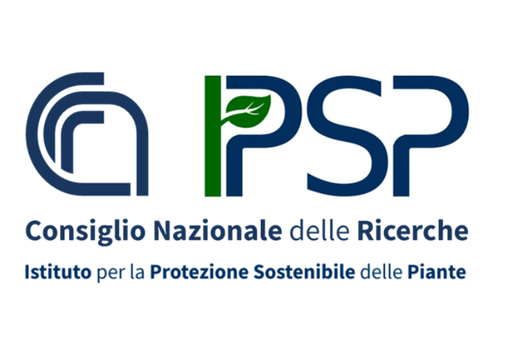 Consiglio Nazionale delle Ricerche